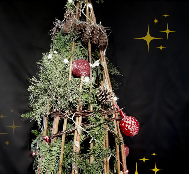 Initiation en Vannerie - Les Liens Naturels - Atelier de Vannerie - Audrey Alvarez - Ladeuze - Belgique