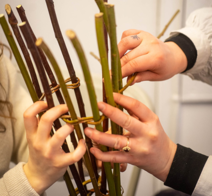 Initiation en Vannerie - Les Liens Naturels - Atelier de Vannerie - Audrey Alvarez - Ladeuze - Belgique