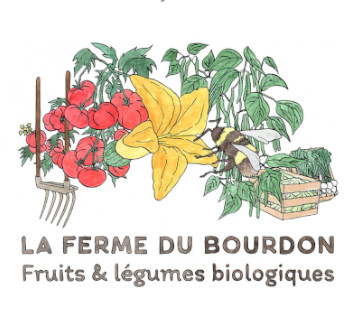 La ferme du Bourdon - Les Liens Naturels - Atelier de Vannerie - Audrey Alvarez - Ladeuze - Belgique