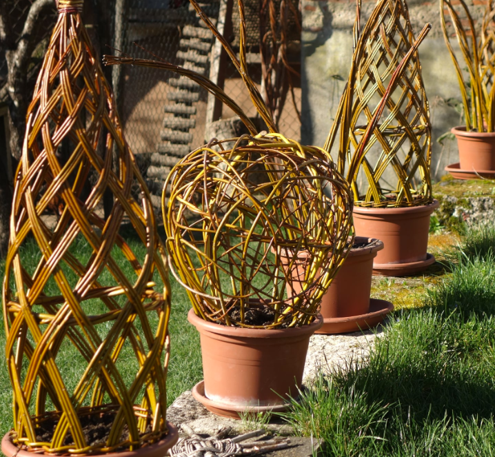 Initiation en Vannerie - Les Liens Naturels - Atelier de Vannerie - Audrey Alvarez - Ladeuze - Belgique