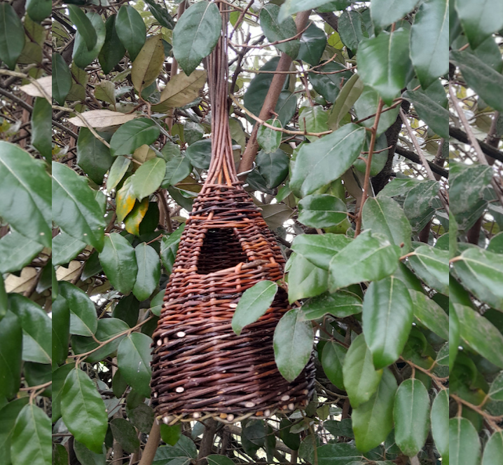 Initiation en Vannerie - Les Liens Naturels - Atelier de Vannerie - Audrey Alvarez - Ladeuze - Belgique