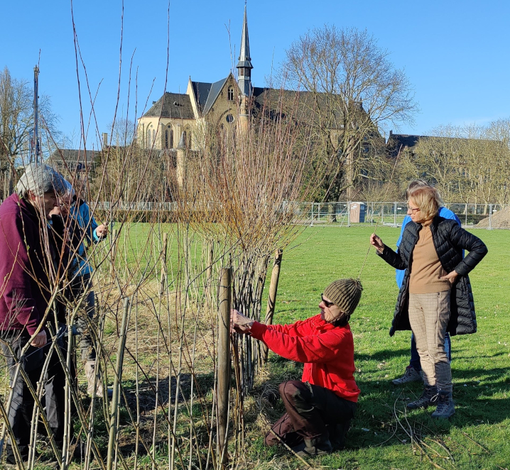 Initiation en Vannerie - Les Liens Naturels - Atelier de Vannerie - Audrey Alvarez - Ladeuze - Belgique